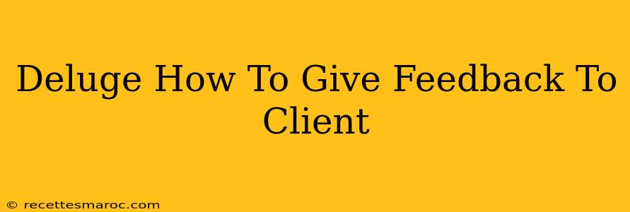 Deluge How To Give Feedback To Client