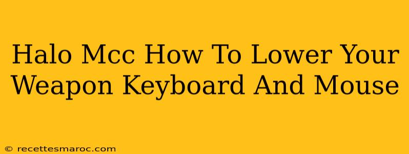 Halo Mcc How To Lower Your Weapon Keyboard And Mouse