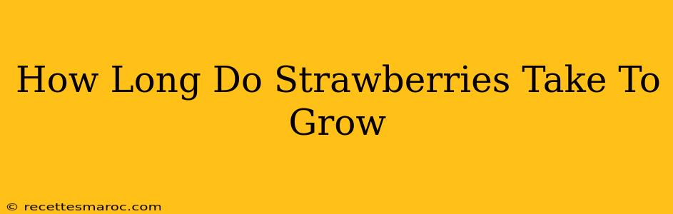 How Long Do Strawberries Take To Grow