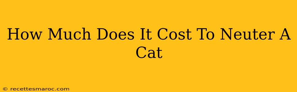 How Much Does It Cost To Neuter A Cat