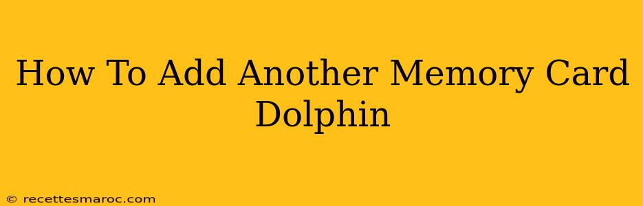 How To Add Another Memory Card Dolphin