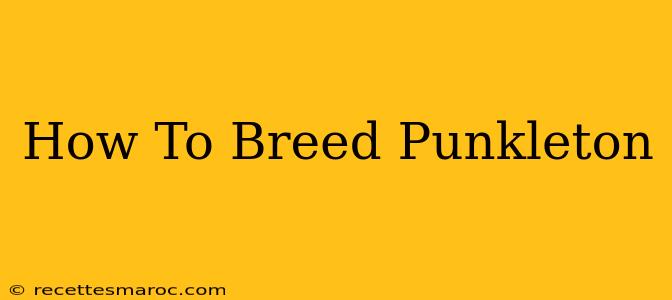 How To Breed Punkleton