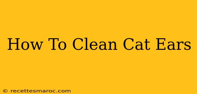 How To Clean Cat Ears