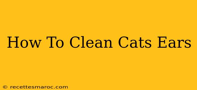 How To Clean Cats Ears