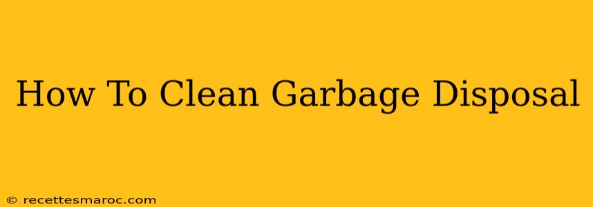 How To Clean Garbage Disposal