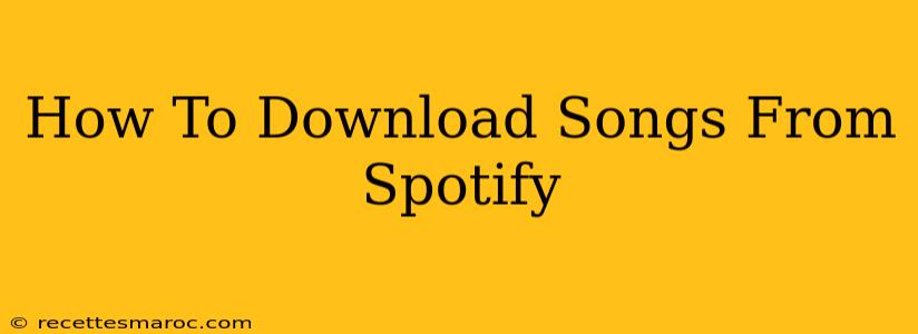 How To Download Songs From Spotify