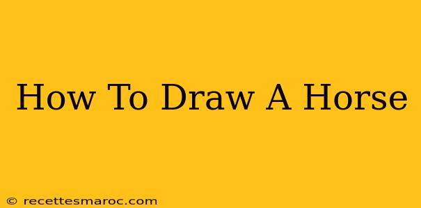 How To Draw A Horse