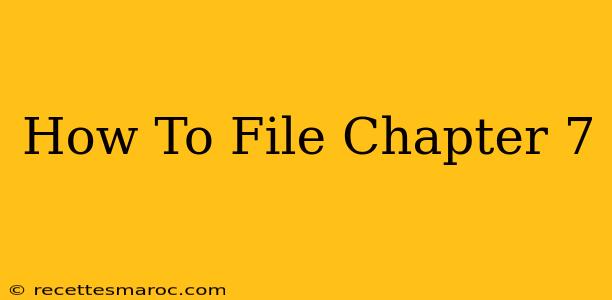 How To File Chapter 7