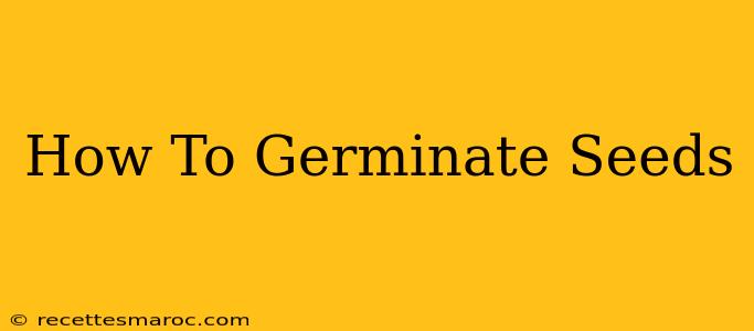 How To Germinate Seeds