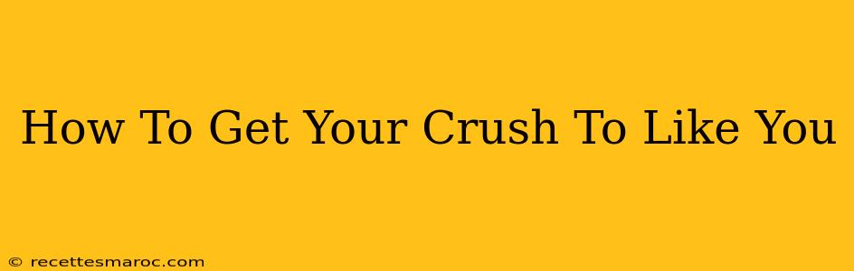 How To Get Your Crush To Like You