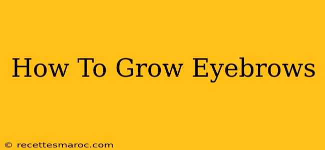 How To Grow Eyebrows