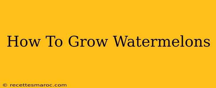 How To Grow Watermelons