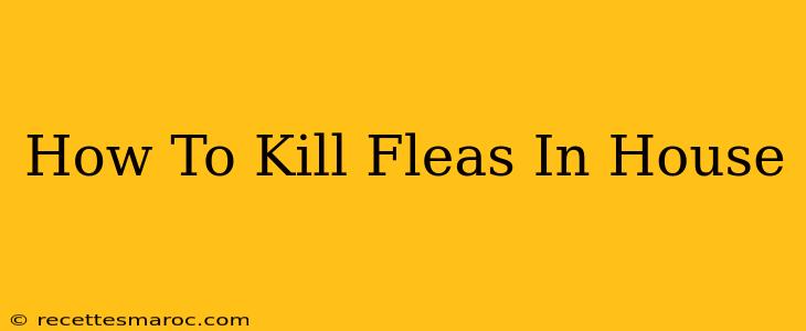 How To Kill Fleas In House