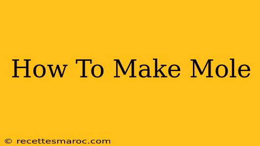 How To Make Mole