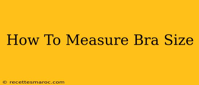 How To Measure Bra Size