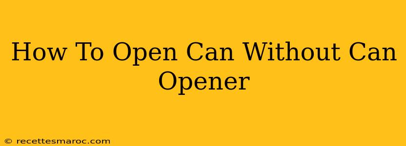 How To Open Can Without Can Opener