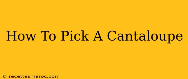 How To Pick A Cantaloupe