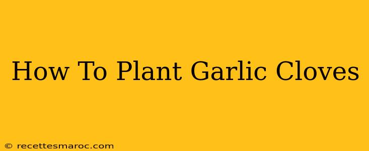 How To Plant Garlic Cloves