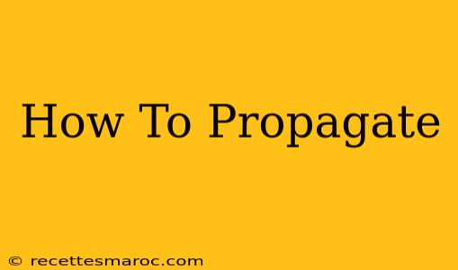 How To Propagate