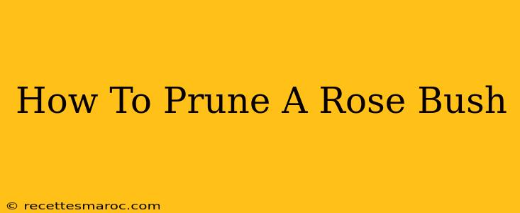 How To Prune A Rose Bush