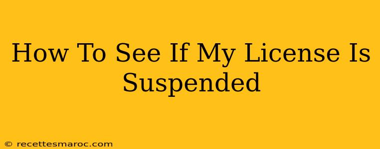 How To See If My License Is Suspended