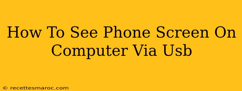 How To See Phone Screen On Computer Via Usb