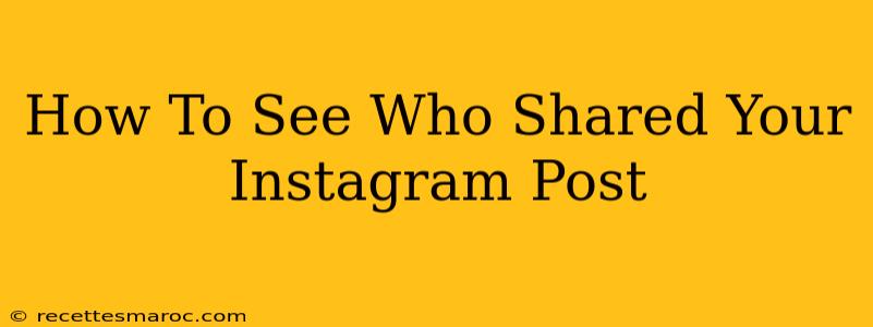 How To See Who Shared Your Instagram Post