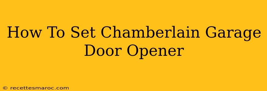 How To Set Chamberlain Garage Door Opener