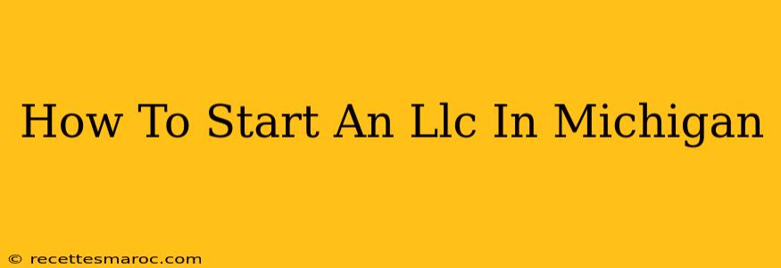 How To Start An Llc In Michigan