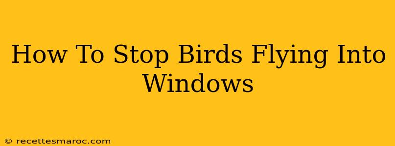 How To Stop Birds Flying Into Windows