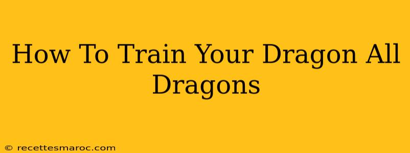 How To Train Your Dragon All Dragons