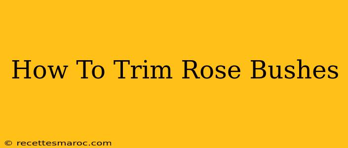 How To Trim Rose Bushes