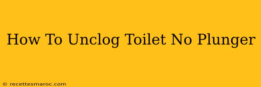 How To Unclog Toilet No Plunger