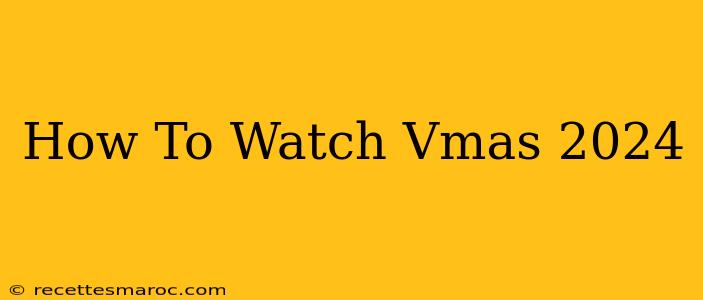 How To Watch Vmas 2024