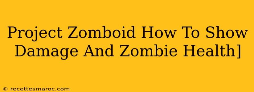 Project Zomboid How To Show Damage And Zombie Health]